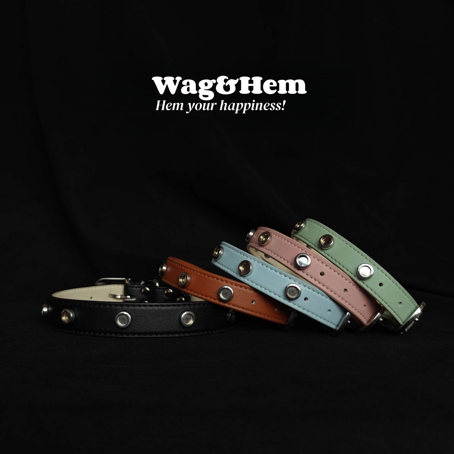 「甜美小熊」寵物DIY頸圈(套裝)|創新磁吸快拆設計|SNA系列