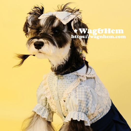 (S-5XL)「格蕾絲漫」貓狗通用甜美裙子|清新田園風|【DD系列】