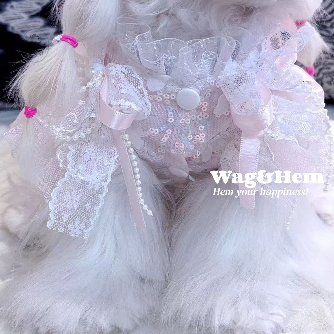 「粉夢蕾舞」甜美風花邊裙子|粉嫩色系面料|蕾絲蓬蓬裙【PC系列】