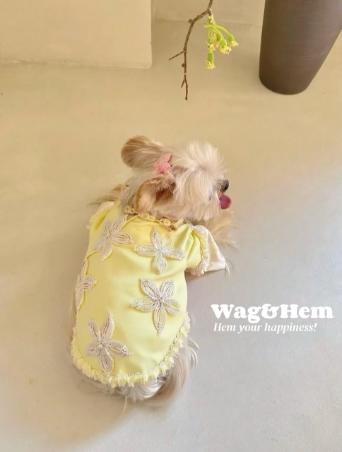 (度身訂製)「黃繡華章」高級寵物禮服裙 |寵物婚禮|高端布料【UT系列】