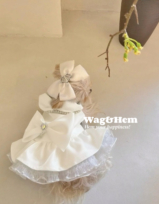 (度身訂製)「星耀萌裳」高級寵物禮服裙(7色可選)|寵物婚禮|高端布料【UT系列】