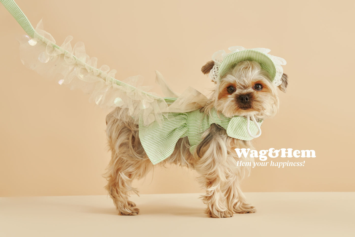 「春日薄荷」條紋胸背帶裙連帽(套裝)|網紗清涼遮陽【FL系列】