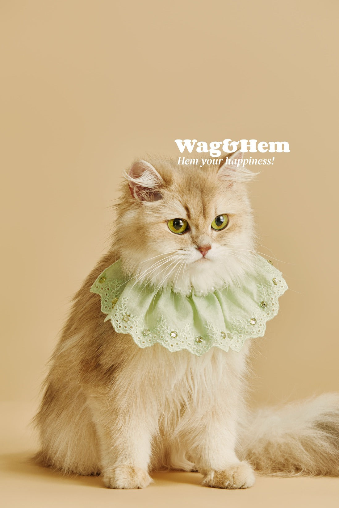 「薄荷珍珠」蕾絲寵物圍兜|【FL系列】