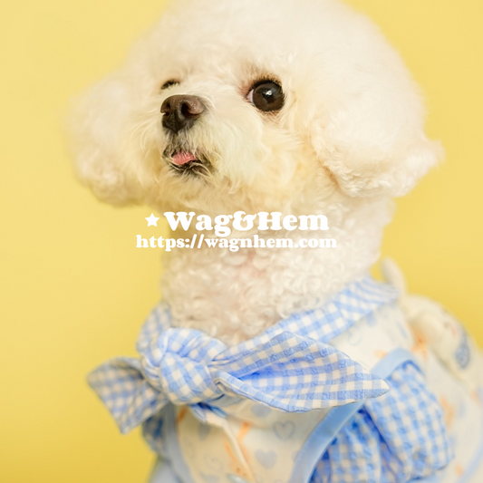 (S-5XL)「奶藍格紋兔兔」格紋襯衫連背心套裝|萌趣治癒 |【DD系列】