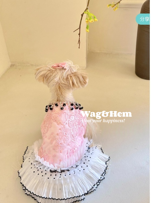 (度身訂製)「粉綾珠魅」高級寵物禮服裙|寵物婚禮|高端布料【UT系列】