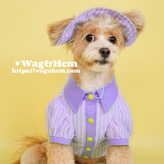 (S-5XL)「薰衣陽光」貓狗夏日出遊套裝|馬卡龍色系 |【DD系列】