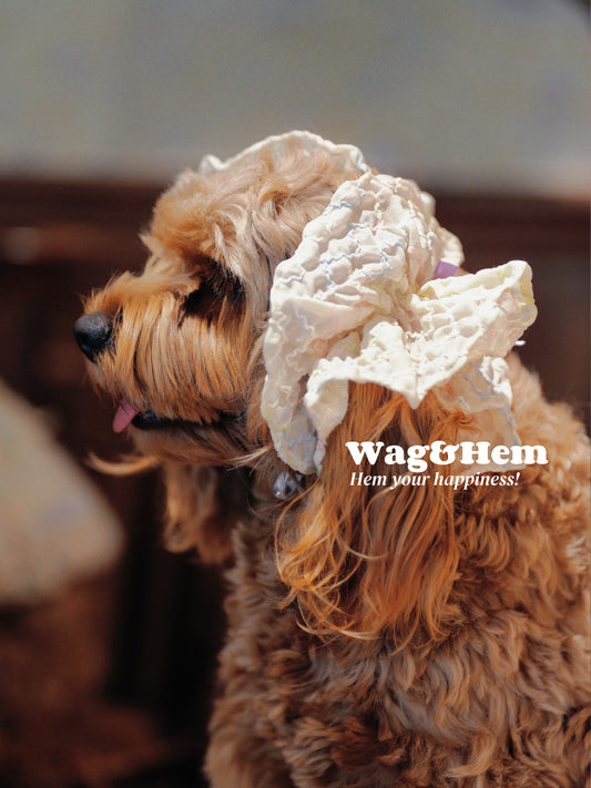 (S/L)「鵝黃春綉」貓狗耳套｜“Goose Yellow Embroidery Spring” Pet Ear Muffs｜W&H獨家代理