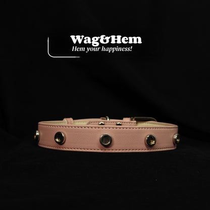 寵物DIY皮革頸圈(5色可選)｜創新磁吸快拆設計｜SNA系列