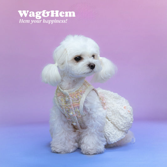(XXS-7XL)「小香風花妮」真絲花苞連衣裙(兩色可選)｜“Chanel - style Tweed” Pet Dress｜W&H獨家代理