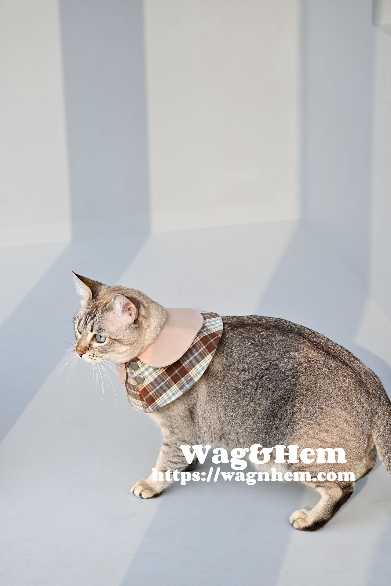 (XXS-5XL) "Fiesta retro de cuadros" babero para gatos y perros｜Moda británica｜【Serie WH】