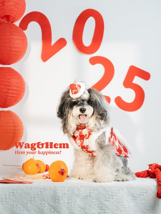 (XXS-7XL)「中式唐裝」寵物新年造型套裝｜ “Chinese Tang style Tweed” Pet Suit｜W&H獨家代理