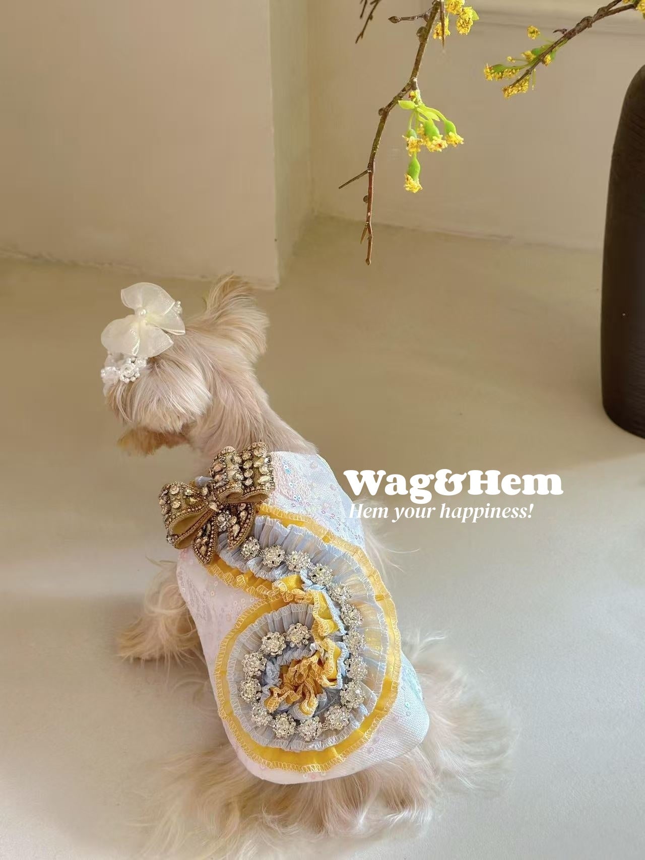 （度身訂製）「鑽蝶華章」高級寵物禮服裙｜寵物婚禮｜高端布料【UT系列】