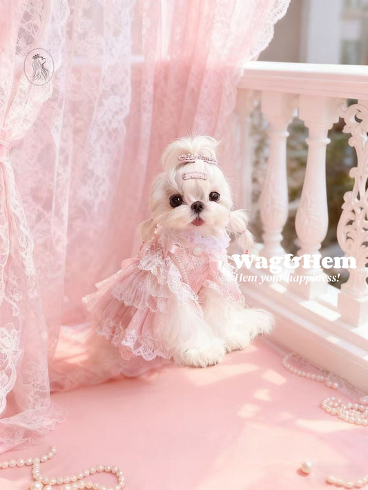 「粉夢蕾舞」甜美風花邊裙子｜粉嫩色系面料｜蕾絲蓬蓬裙【PC系列】