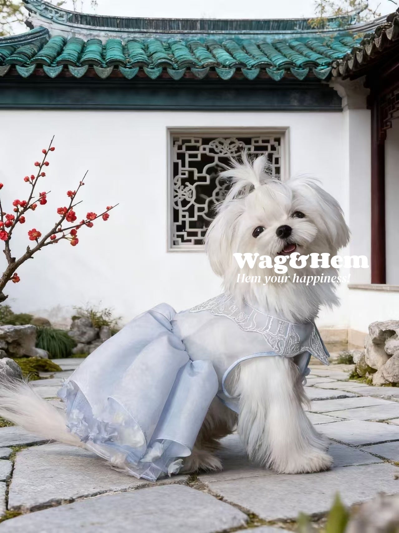 （度身訂製）「雲裳綺夢」中式真絲禮服｜寵物婚禮｜高端布料【MM系列】