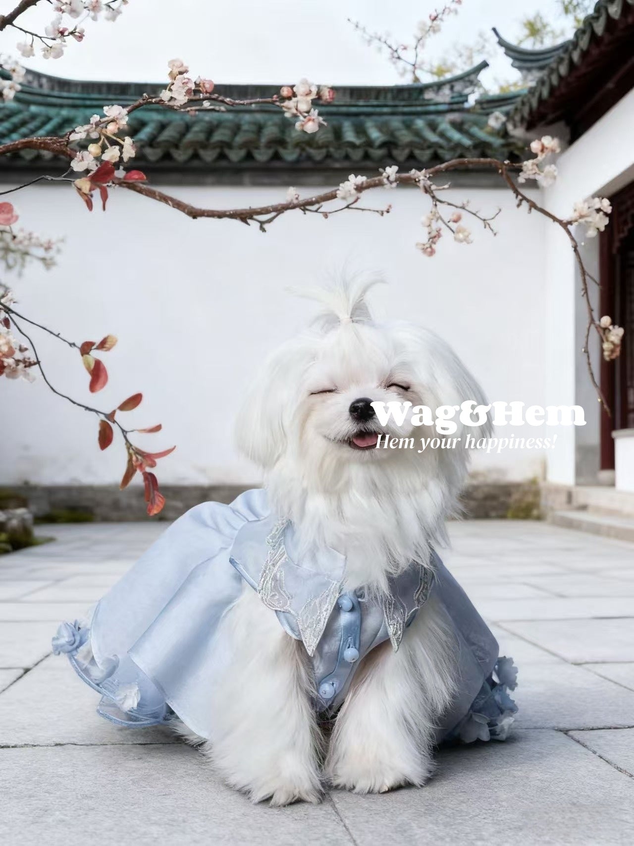 （度身訂製）「雲裳綺夢」中式真絲禮服｜寵物婚禮｜高端布料【MM系列】