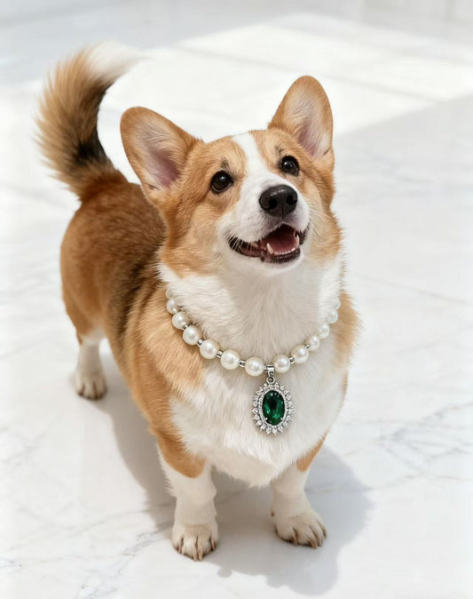 「珠翠星芒」寵物用珠寶頸鏈｜施華洛世奇水晶｜PC系列