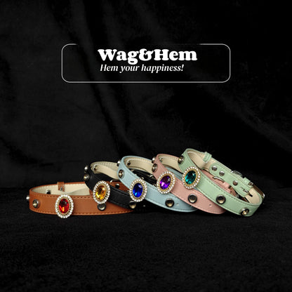 「寶石星環」寵物DIY頸圈(套裝)｜創新磁吸快拆設計｜SNA系列