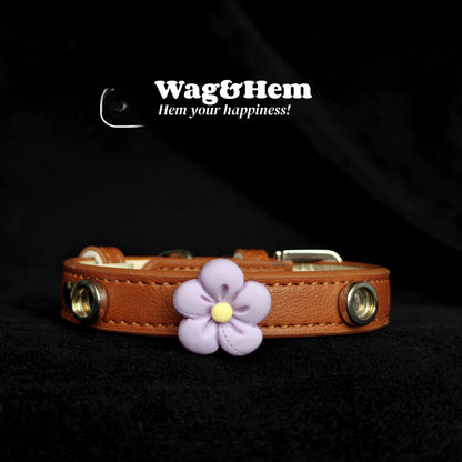 「花漾磁吸」寵物DIY頸圈(套裝)｜創新磁吸快拆設計｜SNA系列