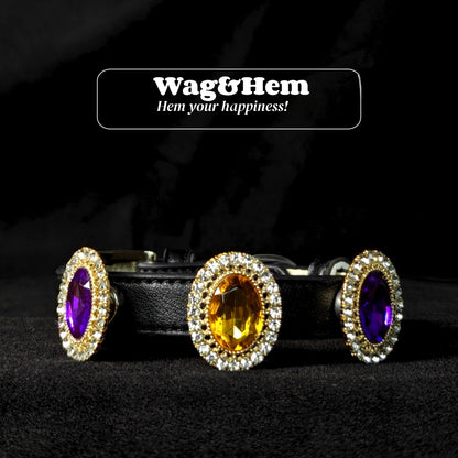 「寶石星環」寵物DIY頸圈(套裝)｜創新磁吸快拆設計｜SNA系列