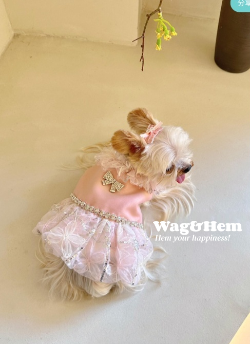 （度身訂製）「粉紗鑽蝶」高級寵物禮服裙 ｜寵物婚禮｜高端布料【UT系列】