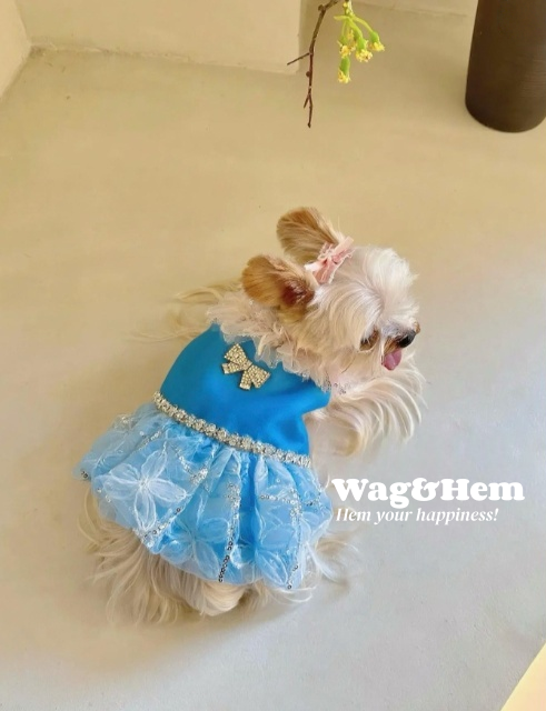 （度身訂製）「藍紗鑽蝶」高級寵物禮服裙 ｜寵物婚禮｜高端布料【UT系列】