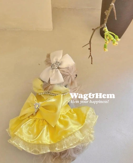 （度身訂製）「星耀萌裳」高級寵物禮服裙（7色可選）｜寵物婚禮｜高端布料【UT系列】