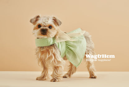 「春日薄荷」條紋胸背帶裙連帽(套裝)｜網紗清涼遮陽【FL系列】