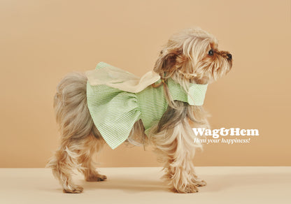 「春日薄荷」條紋胸背帶裙連帽(套裝)｜網紗清涼遮陽【FL系列】