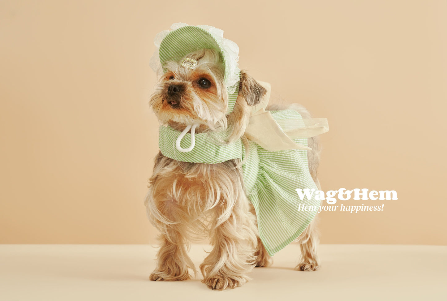 「春日薄荷」條紋胸背帶裙連帽(套裝)｜網紗清涼遮陽【FL系列】