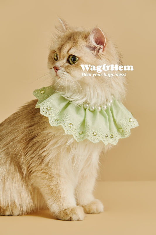 「薄荷珍珠」蕾絲寵物圍兜｜【FL系列】