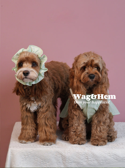 (S/L)「青瓷綠」貓狗蝴蝶結耳套｜“Celadon Green” Pet Ear Muffs｜W&H獨家代理